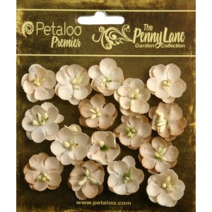 Penny Lane - Forget Me Nots - Antique Beige